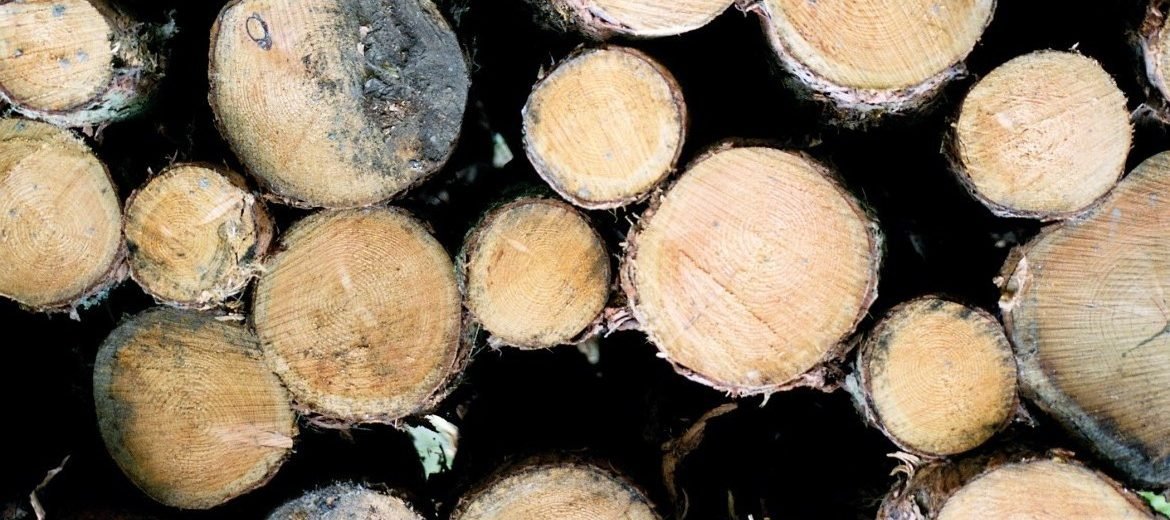 British Acupuncture Council Registered